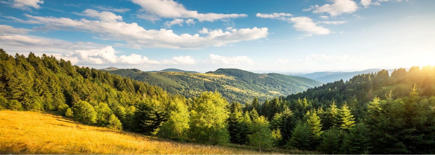 Forest and hills with sunset