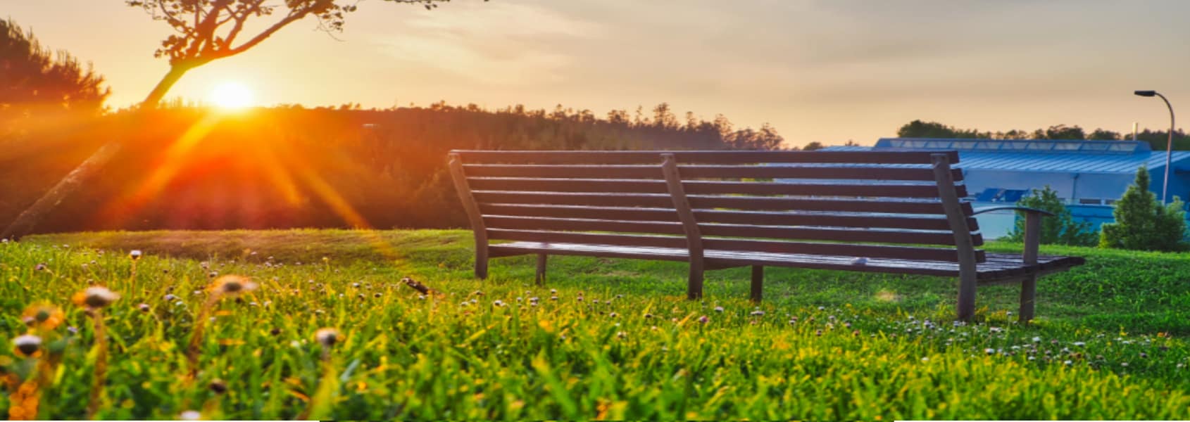 Bench and sunrise